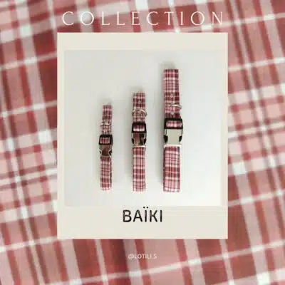 Collier Pour Chien - Collection Baiki - Lotilis