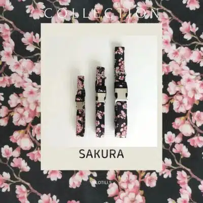 Collier Pour Chien - Collection Sakura - Lotilis