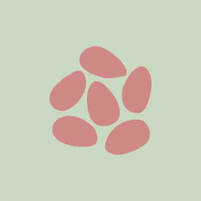 Pochon dragées baptême