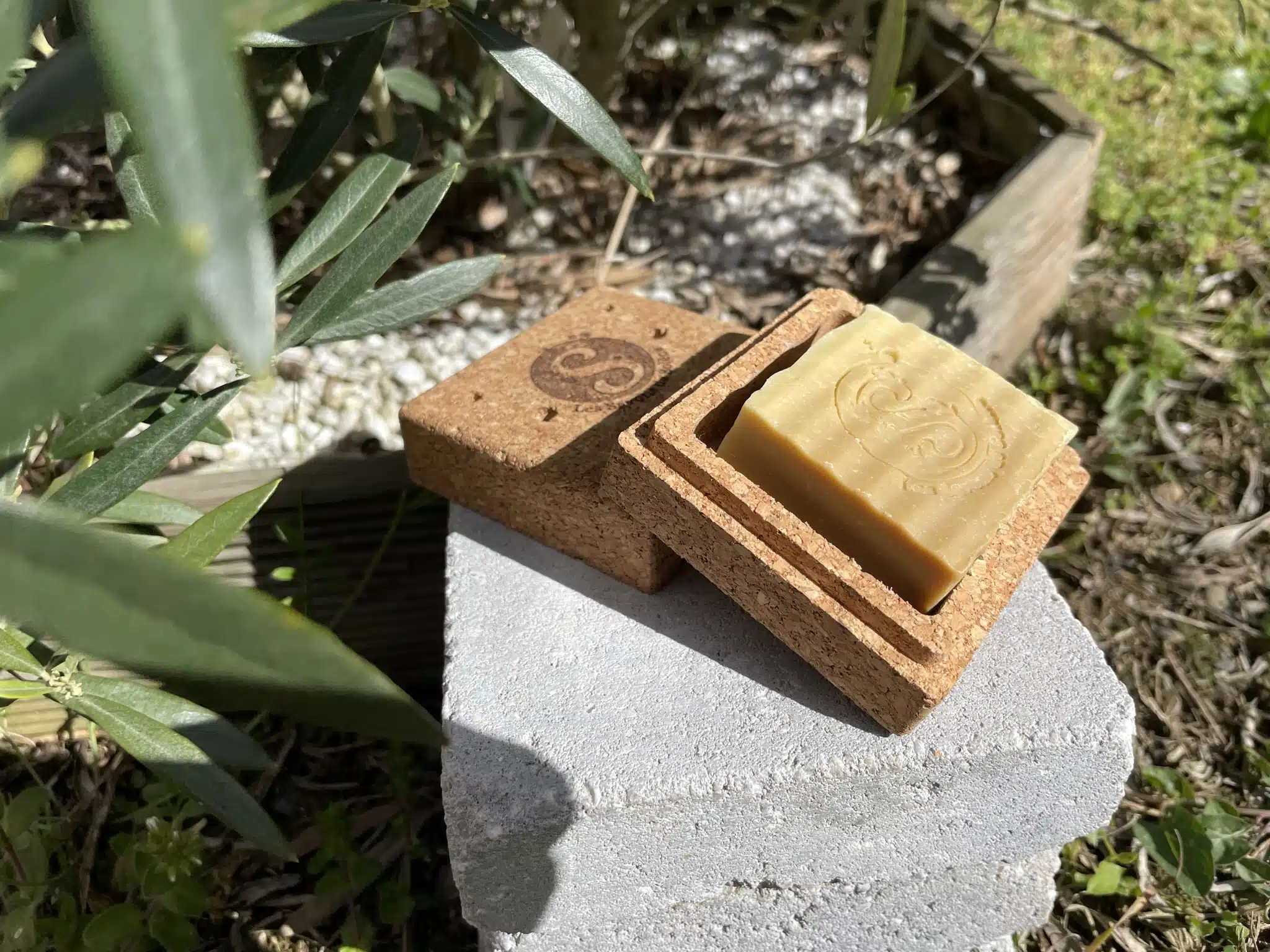 Petit savon dans une boite en liège, posés sur une planche en bois devant un petit olivier.