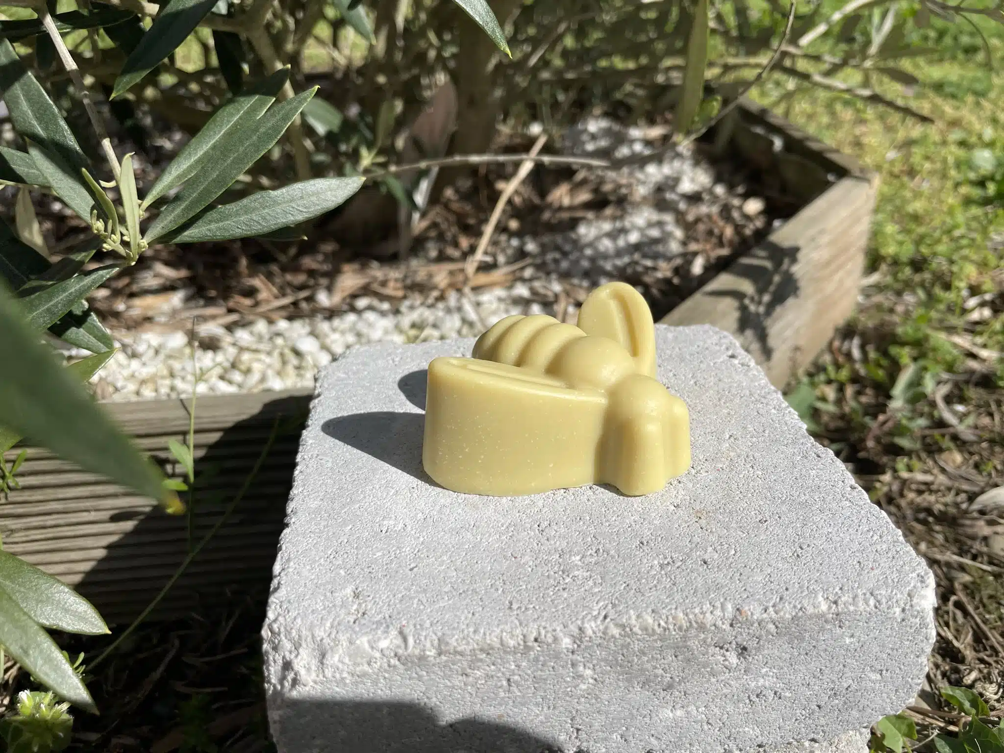 Savon en forme d'abeille posé sur une brique grise, devant un petit olivier.