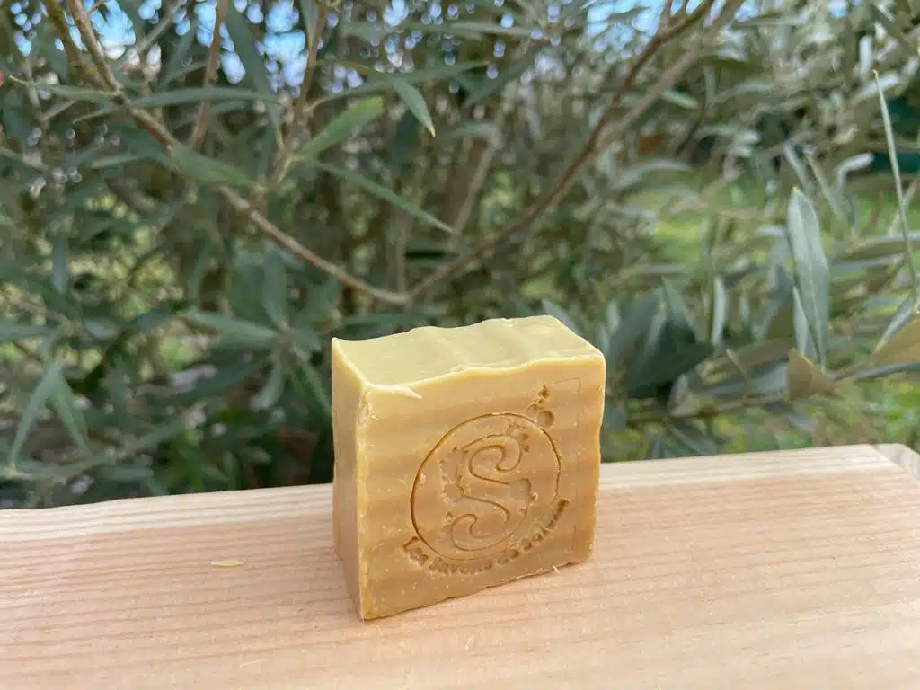 Petit savon posé sur une planche en bois, devant un petit olivier.