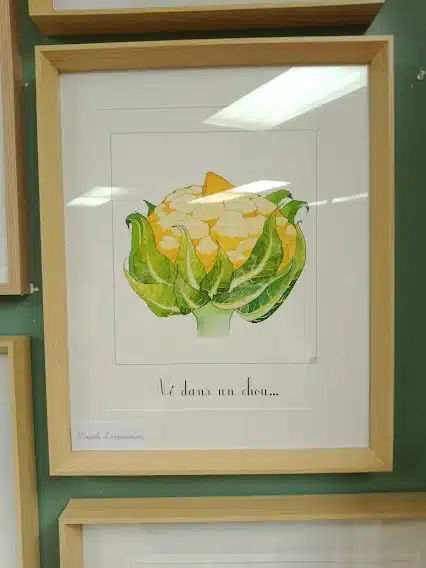 Affiche illustration numérotée x30 "Né dans un chou" – Image 2