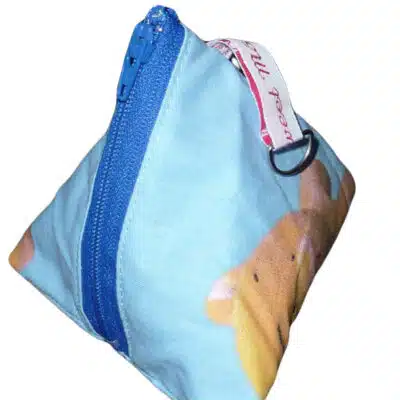 Berlingot range sucette tétine