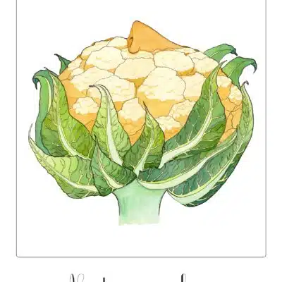 Affiche illustration numérotée x30 "Né dans un chou"