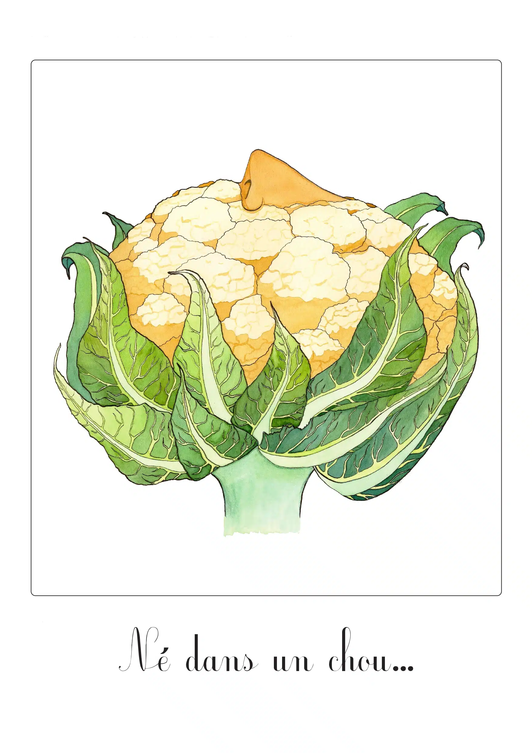 Affiche illustration numérotée x30 "Né dans un chou"