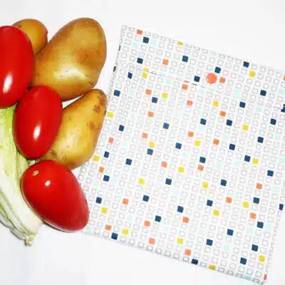 Sac congélation lavable et réutilisable CUBE RETRO (MEDIUM)