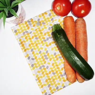 Sac congélation lavable et réutilisable ORANGE RETRO (MI-LONG)