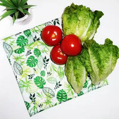 Sac congélation lavable et réutilisable Bio (MEDIUM +)