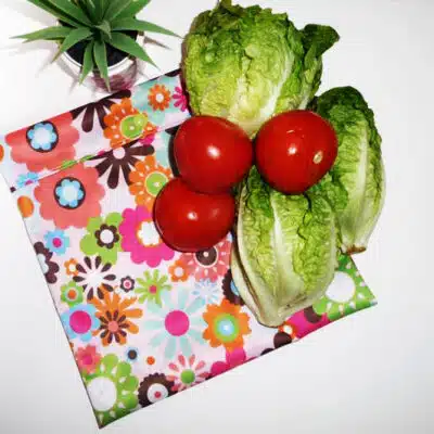 Sac congélation lavable et réutilisable Bio (MEDIUM +)