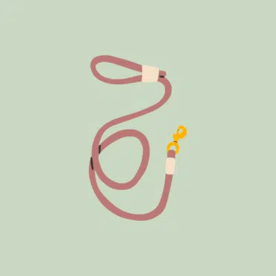 Laisse pour chien et chat