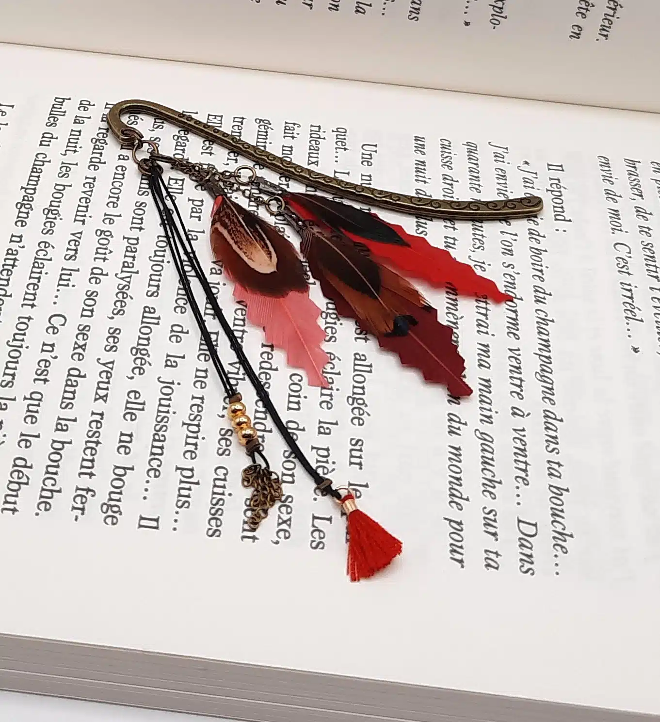 Marque-pages "Plumes au Vent" et pompons – Image 13