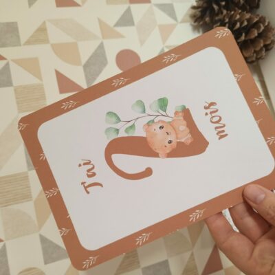 Carte Etapes semaines et mois pour bébé