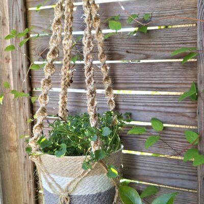 Suspension plante sisal naturel