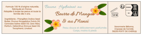 Baume hydratant Beurre de Mangue et Monoi