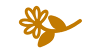 Fleur 2 0,00 €