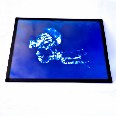 Cyanotype sur Verre - Méduse 08