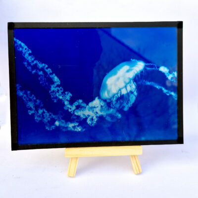 Cyanotype sur Verre - Méduse 05