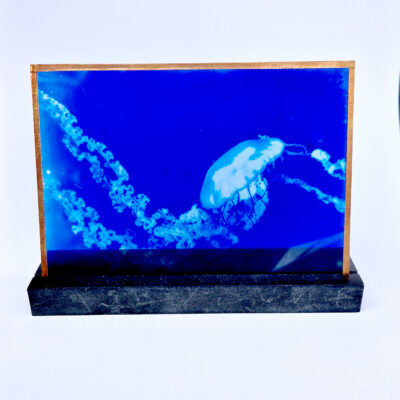 Cyanotype sur Verre - Méduse 01