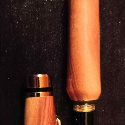 Stylo plume