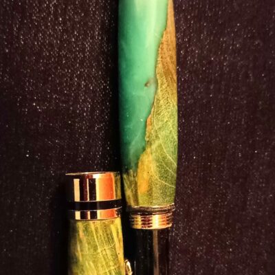 Stylo plume