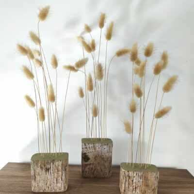 Déco fleurs séchées, Composition naturelle – Lagurus (queue de lapin) séché & bois flotté