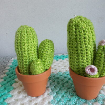 Cactus 3 pieds