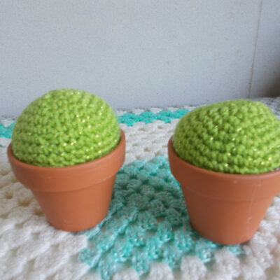 cactus rond