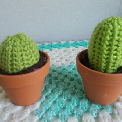 cactus long