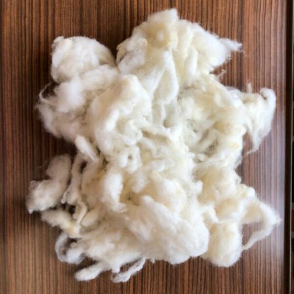 Flocons laine de mouton