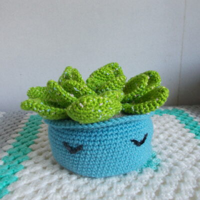Succulente pot Bleu