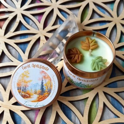 Bougie Forêt Apaisante - 100ml