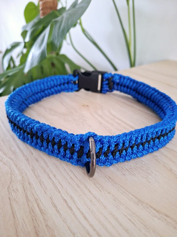 collier chien paracorde bleu/noir