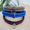 collier chien paracorde