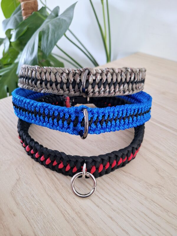 collier chien paracorde