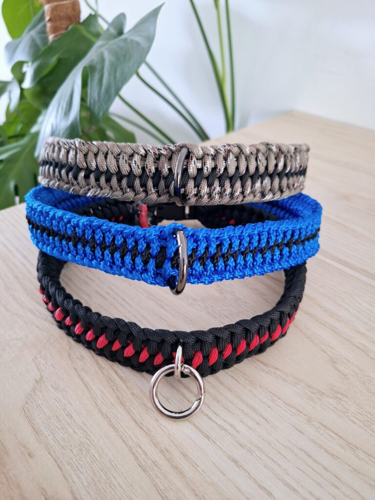 collier chien paracorde