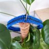 collier bleu paracode bleu/noir