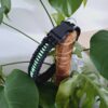 collier chien paracorde noir/vert