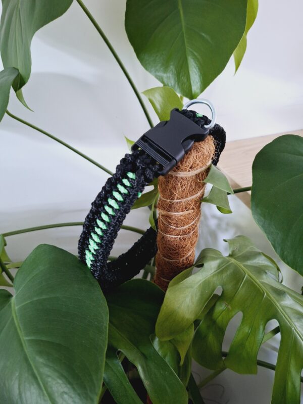 collier chien paracorde noir/vert