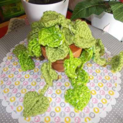 Plante feuilles coeur.