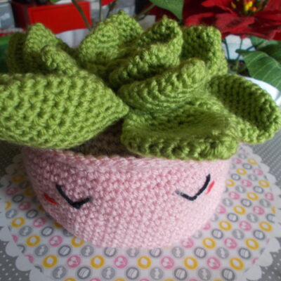 Succulente pot Rose