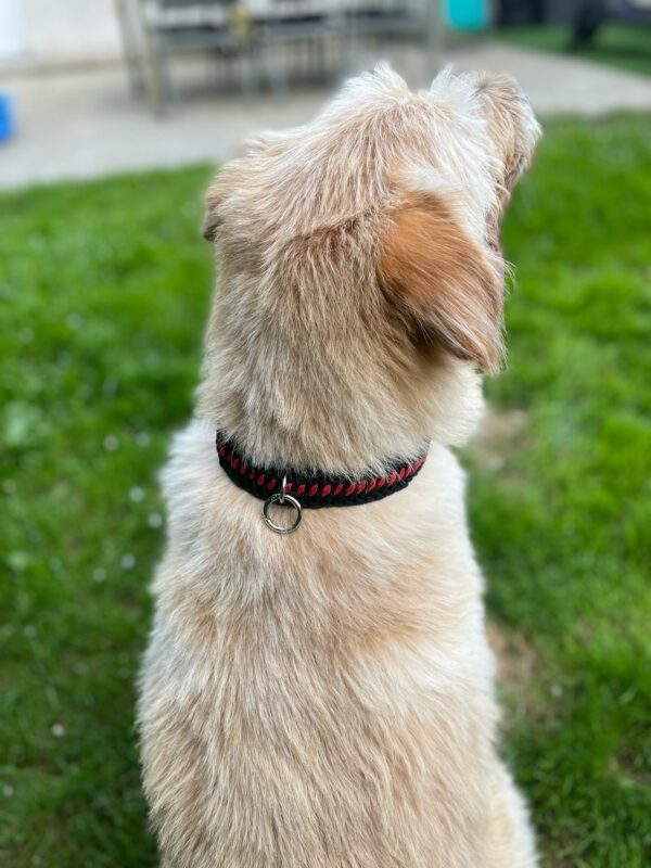 collier paracode noir/rouge