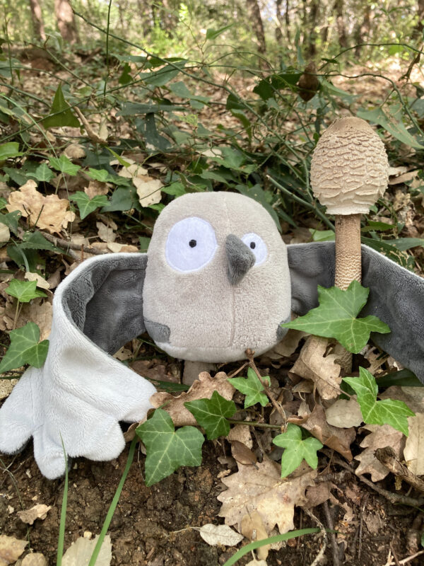 doudou oiseau piouf tourterelle
