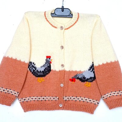 Veste enfant avec des poules, tricot fait main, taille 2 ans