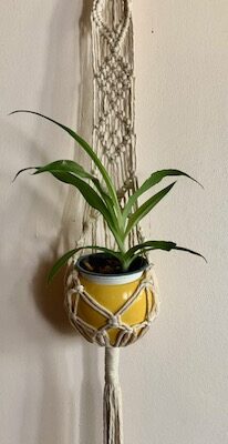 suspension murale "Savana"