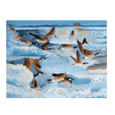 Migration des Bernaches