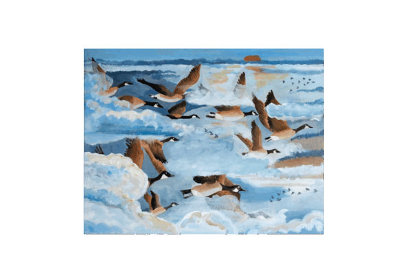 Migration des Bernaches