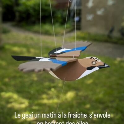 le geai