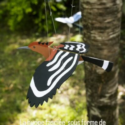 une huppe fasciée