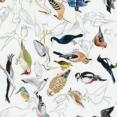 la vie r^vée des oiseaux